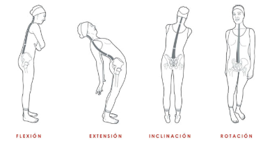 fractura de vertebra art